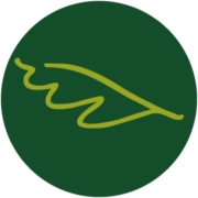 Logo de distribuidoraelroble.com.ar