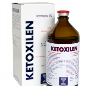 Ketoxilen