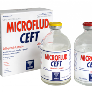 Microflud ceft