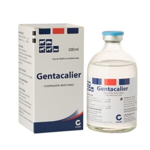 Gentacalier
