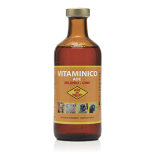 Vitaminico RJ Selenio-Zinc
