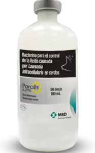 Porcilis Ileitis