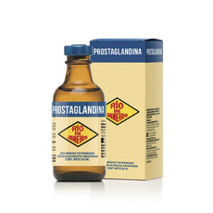 Prostaglandina